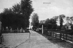 4-dedgum