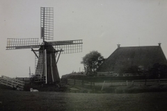 alleralleraller-nieuwste-031