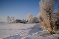 feb-2012-dedgum-3