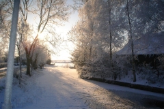 feb-2012-dedgum-6