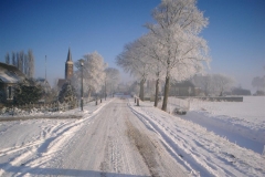 feb-2012-dedgum-7