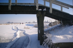 feb-2012-dedgum-8
