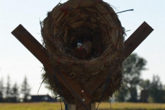 2012-9-reunie-dedgum-33