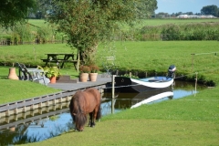 2012-9-reunie-dedgum-9